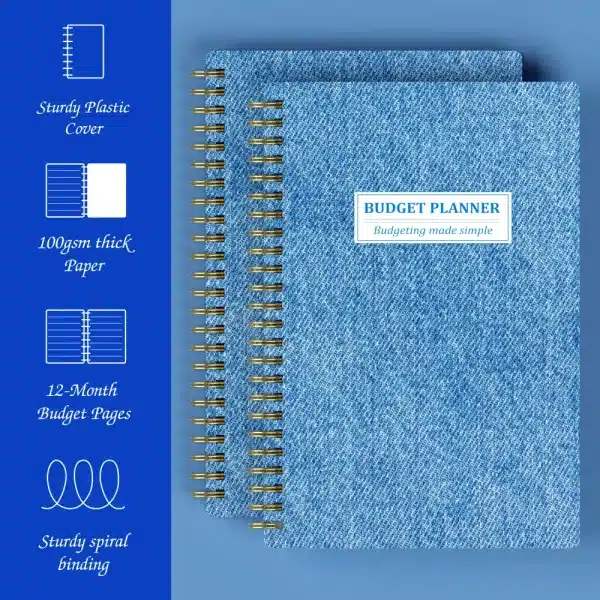 Monthly Budget Layout for Income and Savings