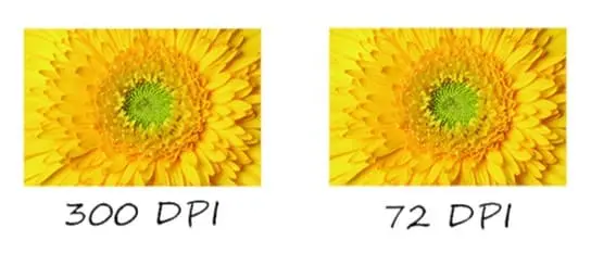 300 DPI high resolution vs 72 DPI low resolution comparison