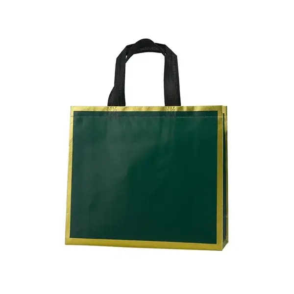 Premium Laminated Non-Woven Reusable Shopping Bags
