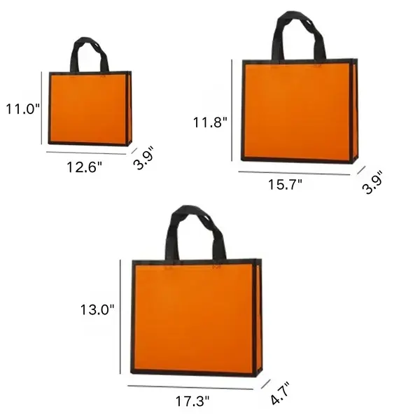 Premium Laminated Non-Woven Reusable Shopping Bags
