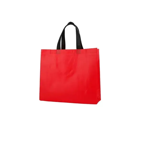 Premium Laminated Non-Woven Reusable Shopping Bags