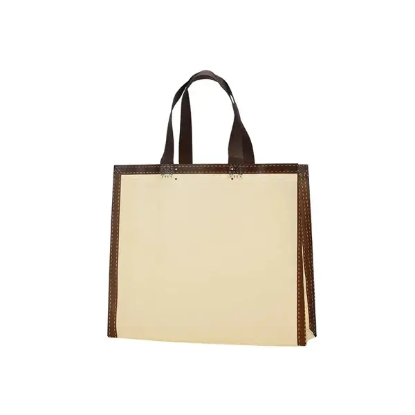 Premium Laminated Non-Woven Reusable Shopping Bags